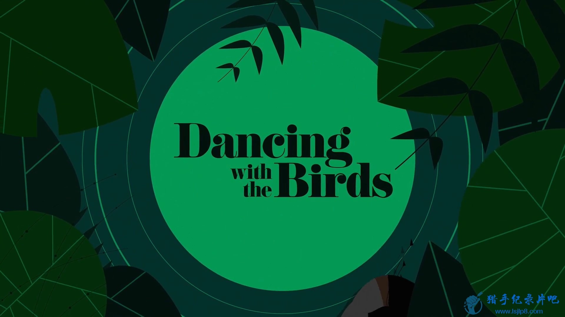  Dancing with the Birds 2019 1080p NF WEBRip x264 AAC CHS&amp;ENG  CHAOSPA.jpg