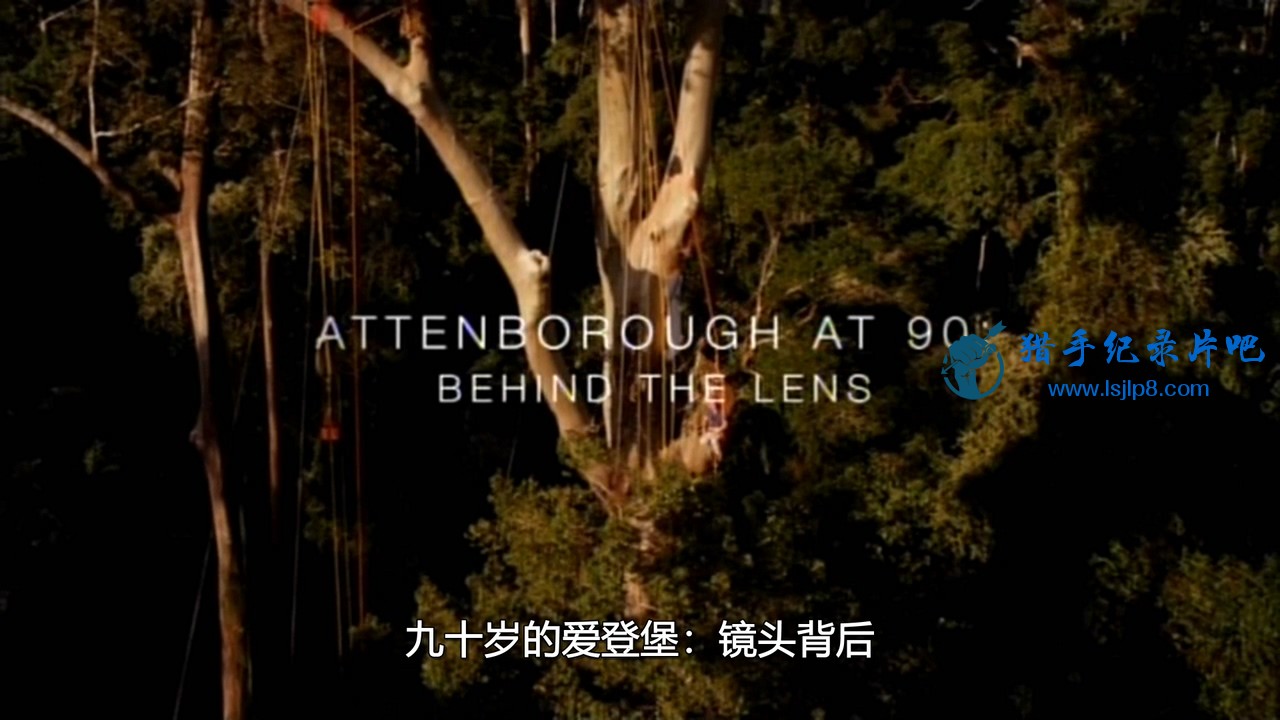 BSkyB.Attenborough.at.90.Behind.the.Lens.720p.HDTV.x264.AAC.MVGroup.org.mp4_2020.jpg