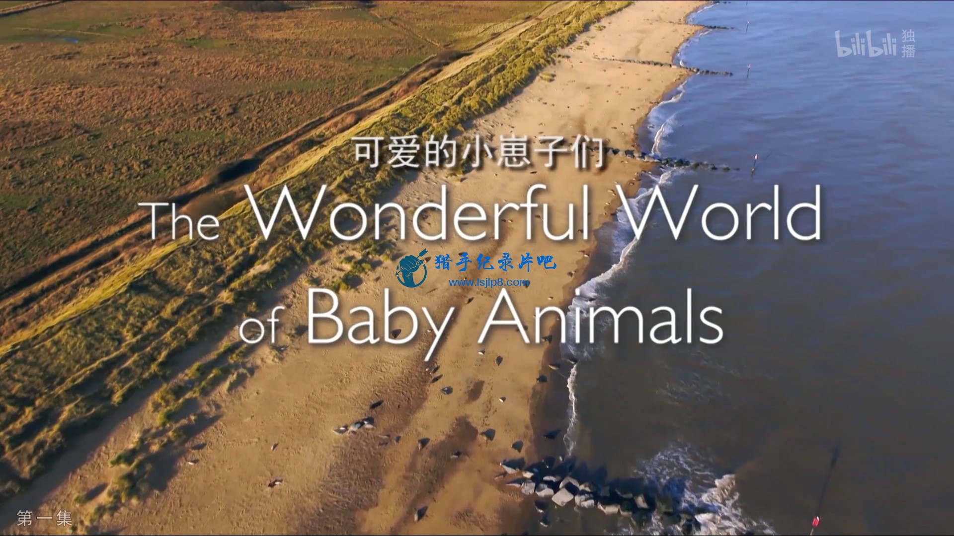 ɰС 01.The.Wonderful.World.of.Baby.Animals.E01.WEB-DL.1080p.H264..jpg