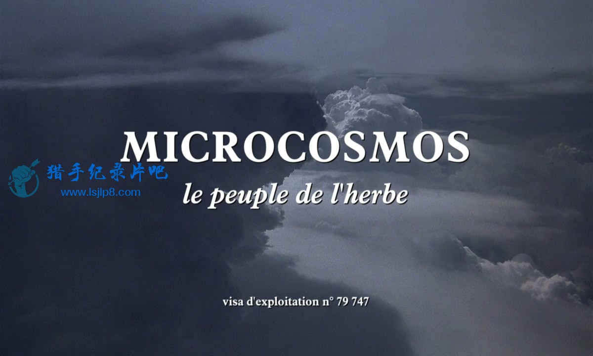 Microcosmos.1996.Blu-ray.RE.X264.720.DTS.mySilu.mkv_20200301_134219.100.jpg