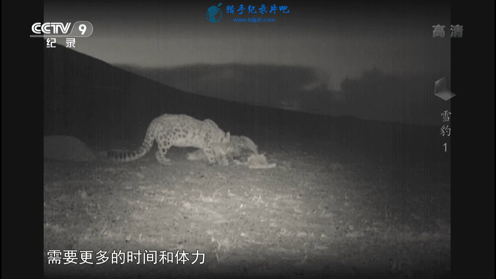 20151126_CCTV-9_Time-Snow.Leopard.EP01-jlp.ts_20200304_120750.225.jpg