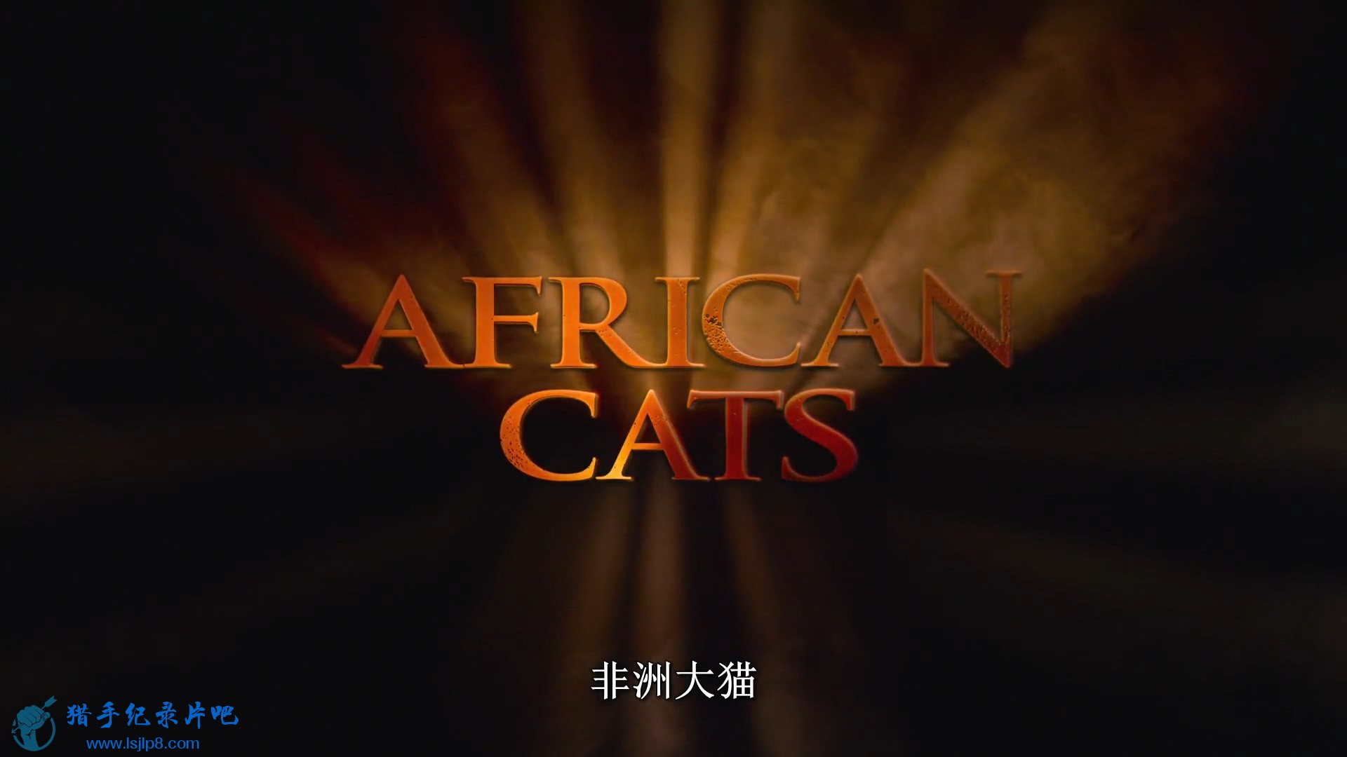 è֮.African.Cats.2011.1080p.BluRay.x264-MFXZ.mp4_20200309_105807.481.jpg