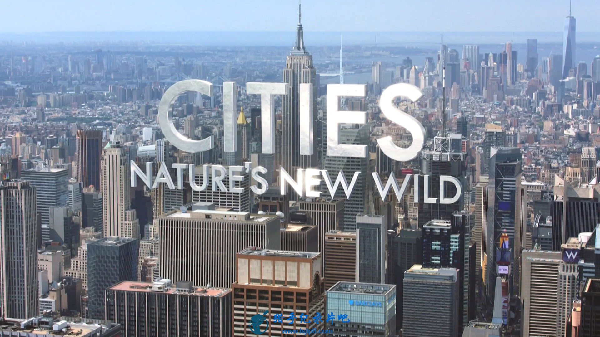 BBC.Cities.Natures.New.Wild.1of3.Residents.1080p.HDTV.x264.AAC.MVGroup.org.mkv_2.jpg