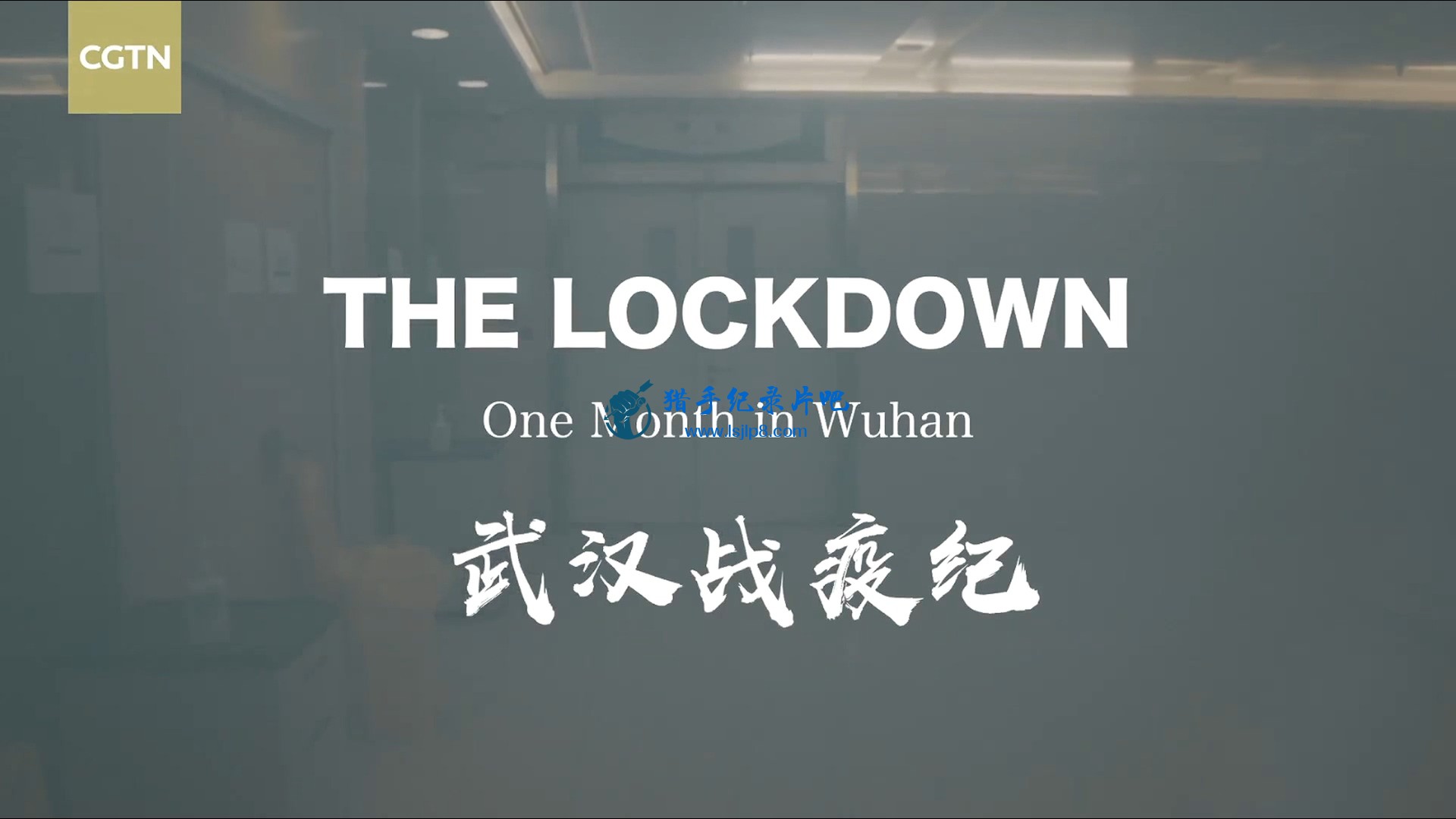 人ս߼ (The LockdownOne Month in Wuhan), 2020-02-28, 1080p.mkv_20200320_11.jpg