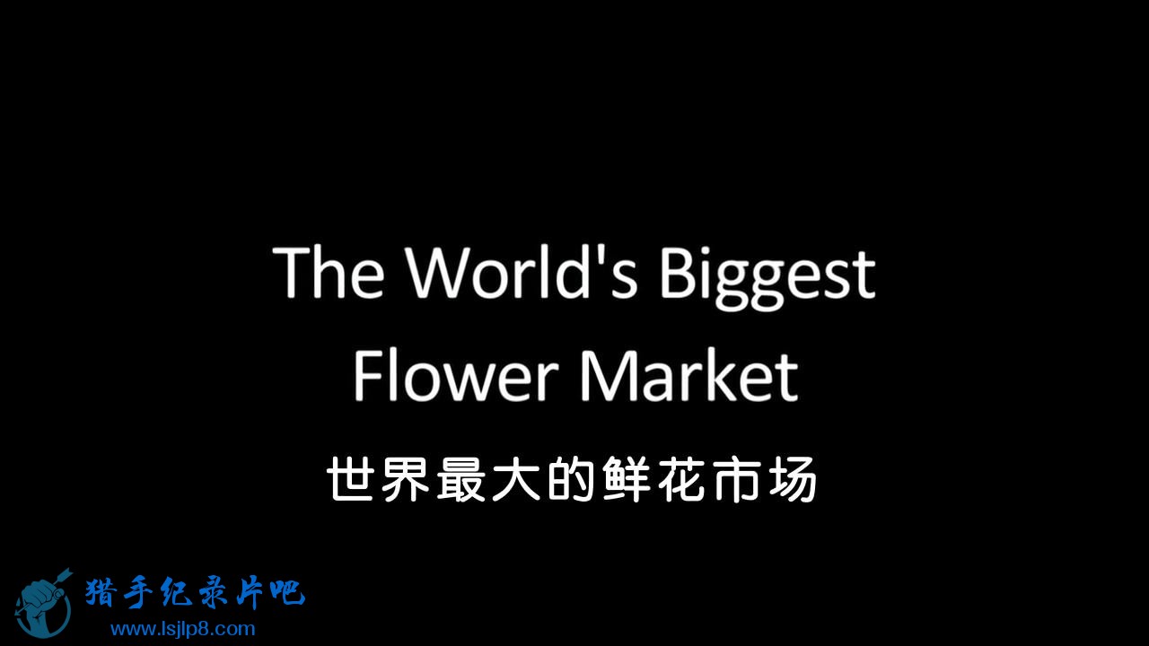 ʻг.BBC.The.Worlds.Biggest.Flower.Market.720p.HDTV.x264.AAC.jlpzj.jpg