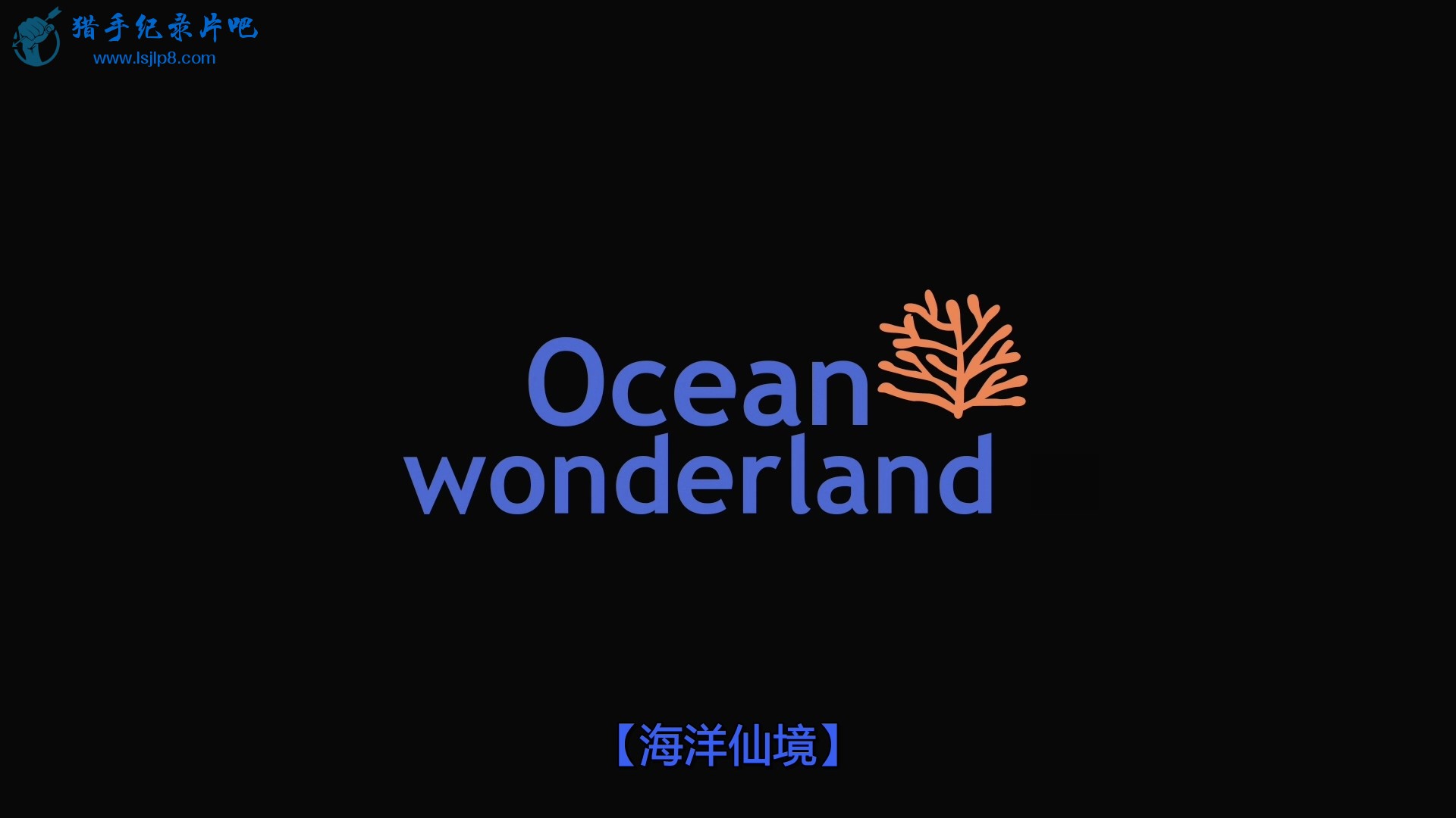 IMAX.Ocean.Wonderland.2003.1080p.BluRay.x264-DON.mkv_20200426_105742.673.jpg