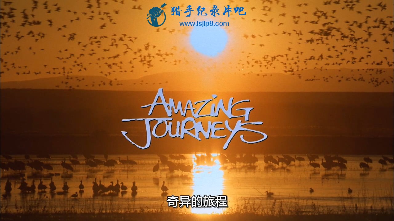 aaf-imax.amazing.journeys.1999.720p.bluray.mkv_20200427_102142.853_ͼ.jpg