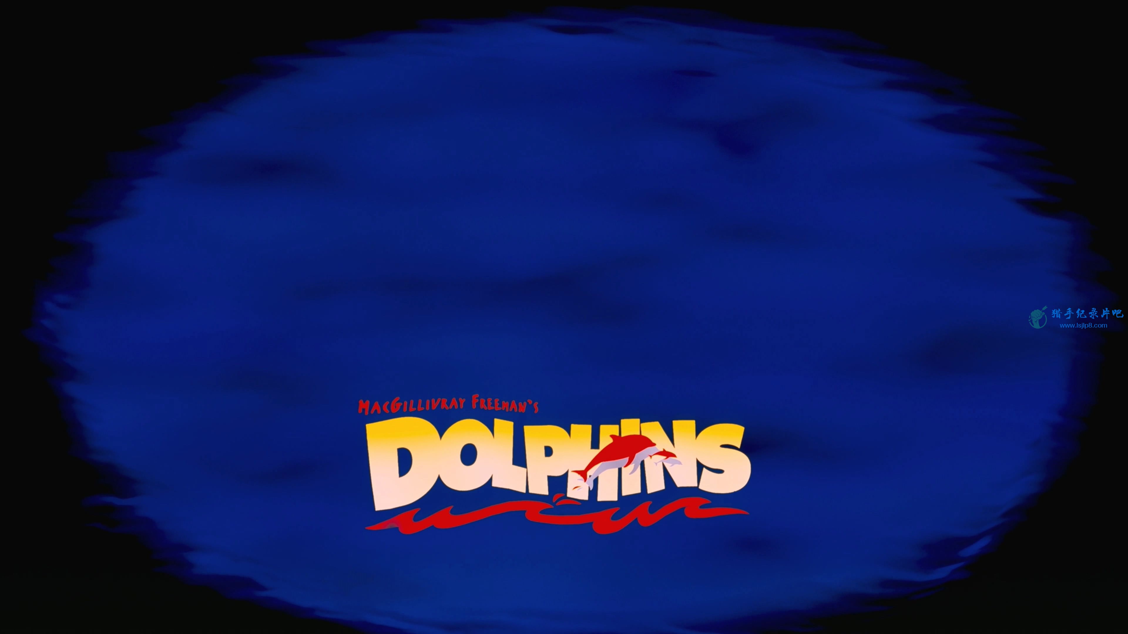 IMAX.Dolphins.2000.2160p.Amazon.WEBRip.DD2.0.x264-TrollUHD.mkv_20200506_084714.8.jpg