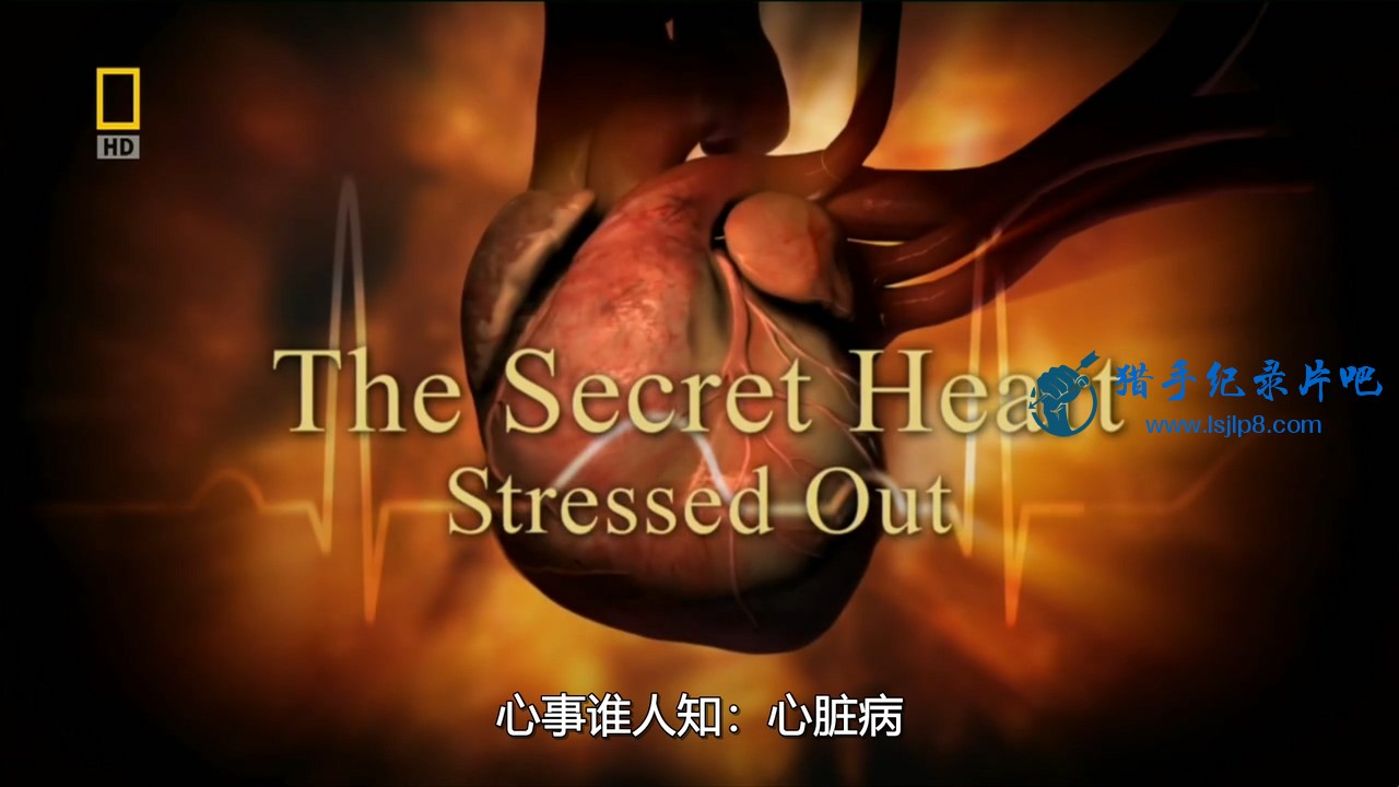 dich-national.geographic.the.secret.heart.stressed.out.720p.hdtv.x264.mkv_202005.jpg