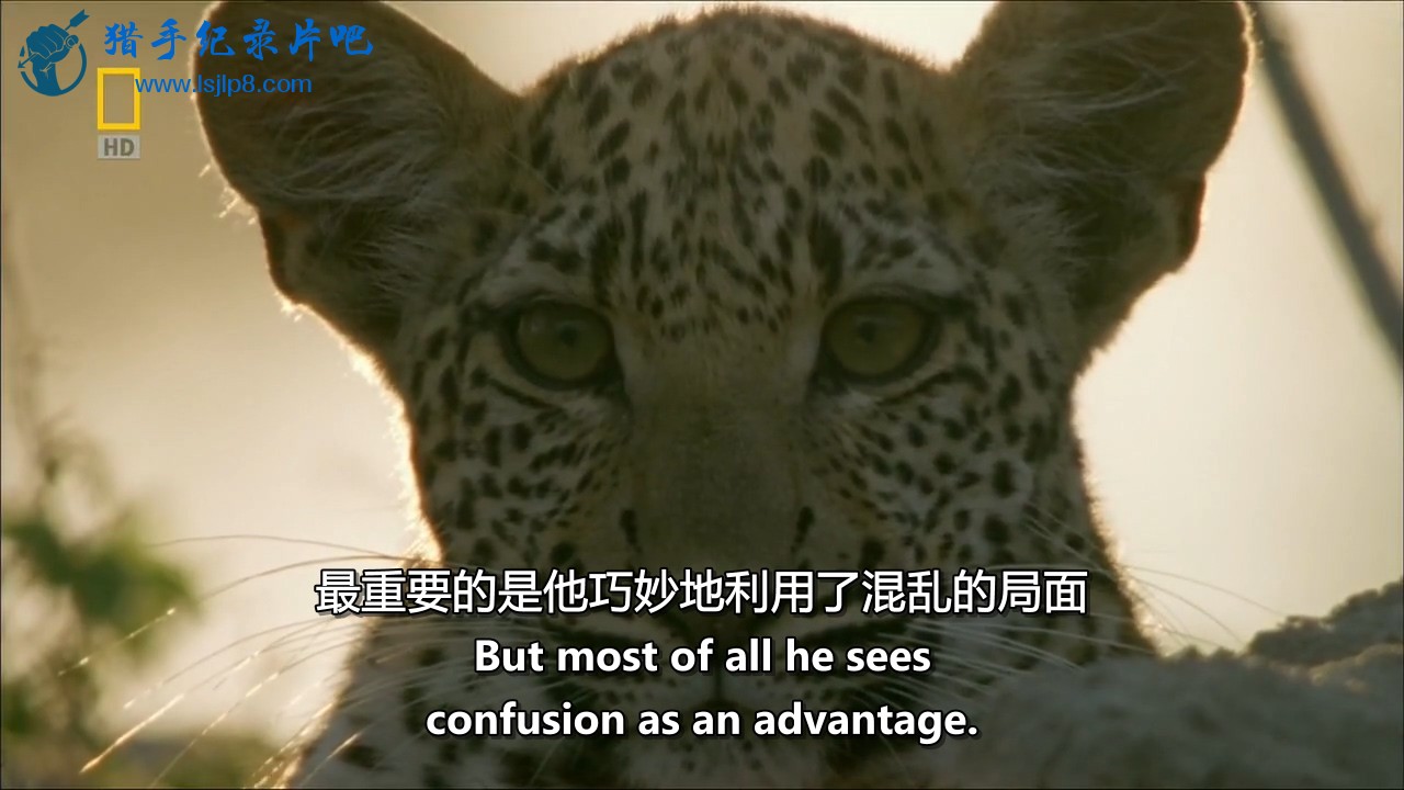 ҵ.۾National.Geographic.Eye.Of.The.Leopard.720p.HDTV.x264-DiCH..jpg