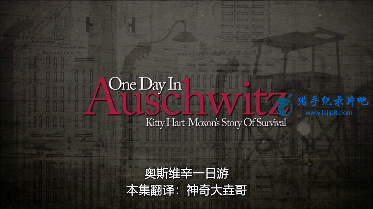 One.Day.in.Auschwitz.2015.720p.HDRip.x264.AAC.MVGroup.org.mp4_20200523_100645.729.jpg