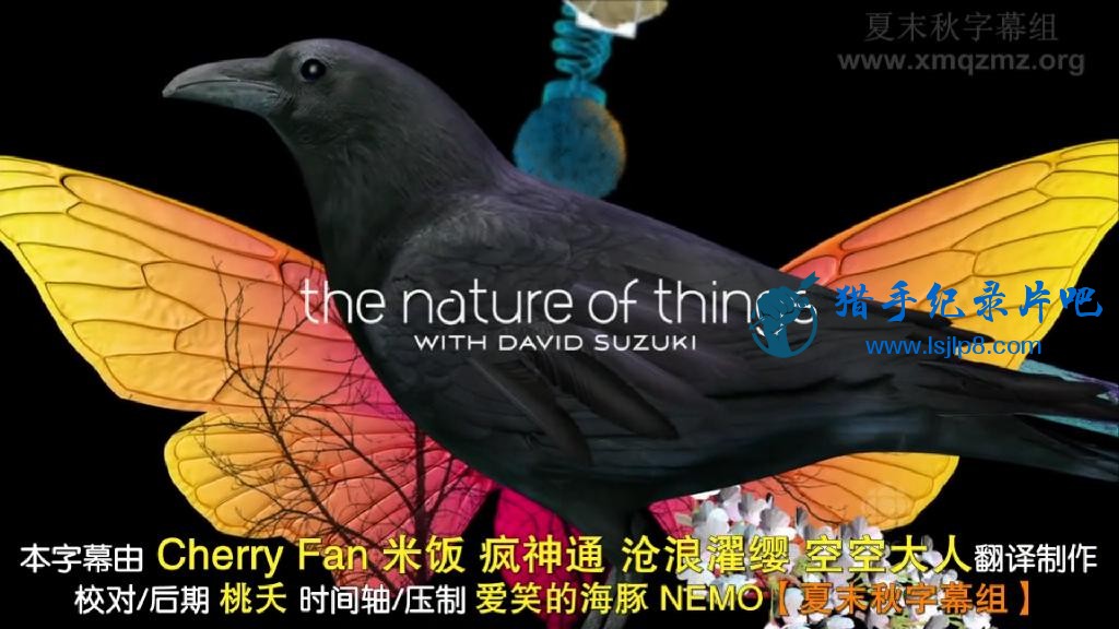 The.Nature.Of.Things.The.Jungle.Prescription.mkv_20200603_074937368.jpg