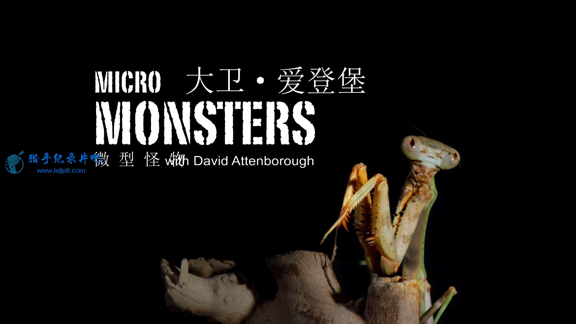 micro.monsters.with.david.attenborough.s01e01.1080p.bluray.x264-redblade.mkv_202.jpg
