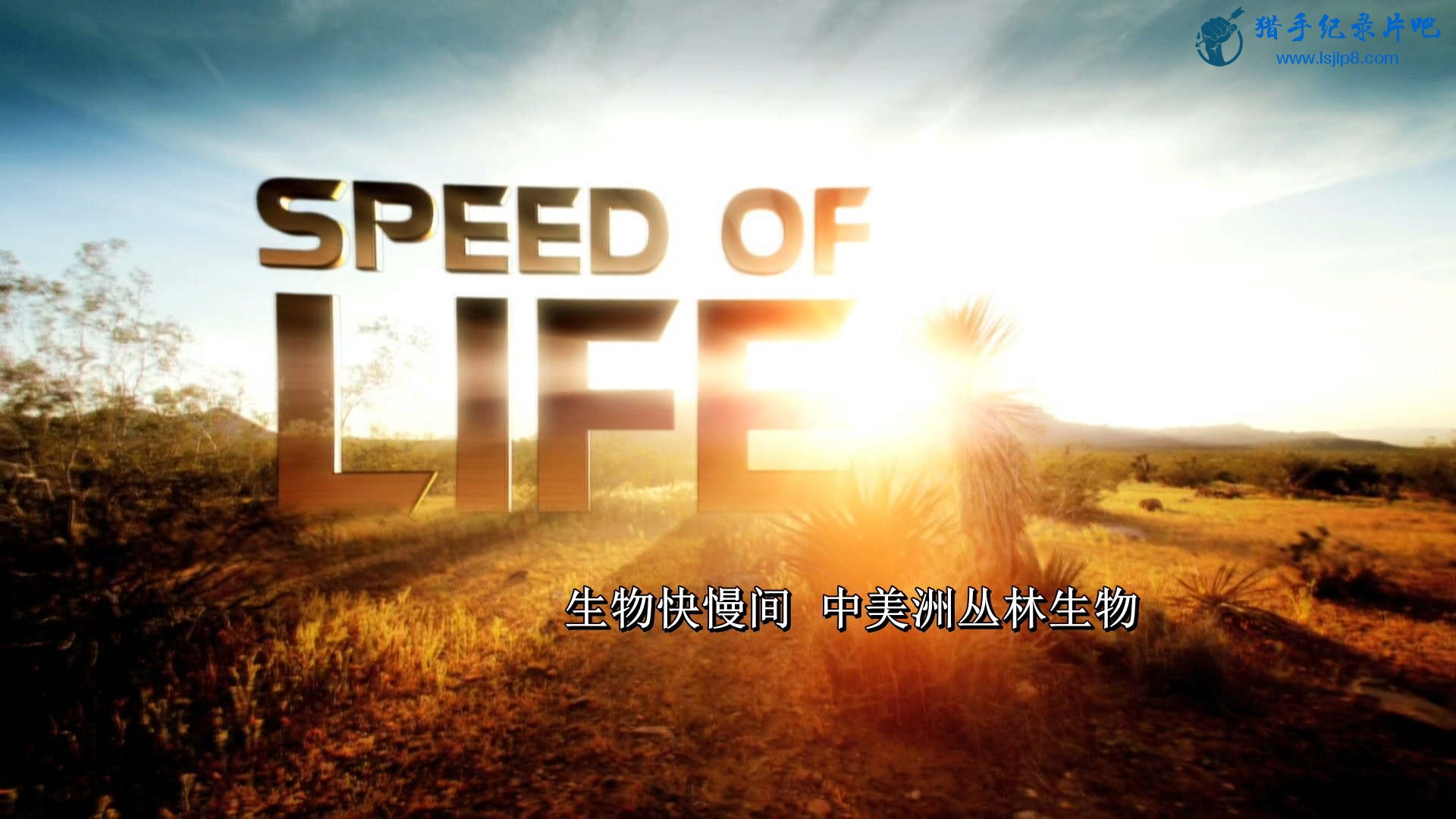 Speed.of.Life.EP01.2010.Bluray.1080p.AC3.x264-CHD.mkv_20200610_144157.670_ͼ.jpg
