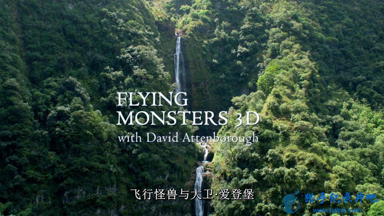 Flying.Monsters.with.David.Attenborough.2011.720p.Bluray.x264.DTS-HDChina.mkv_20.jpg