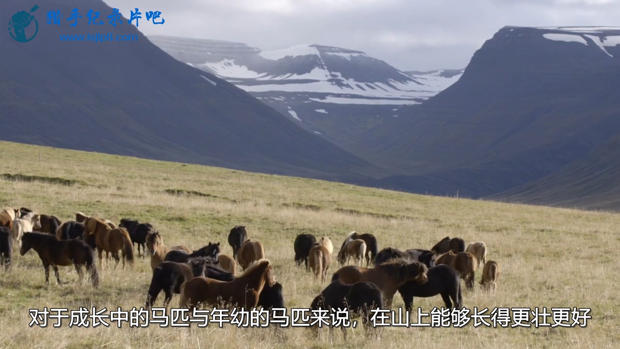 BBC Natural World 2015 Iceland Land of Ice and Fire 720p HDTV x264 AAC MVGroup.o.jpg