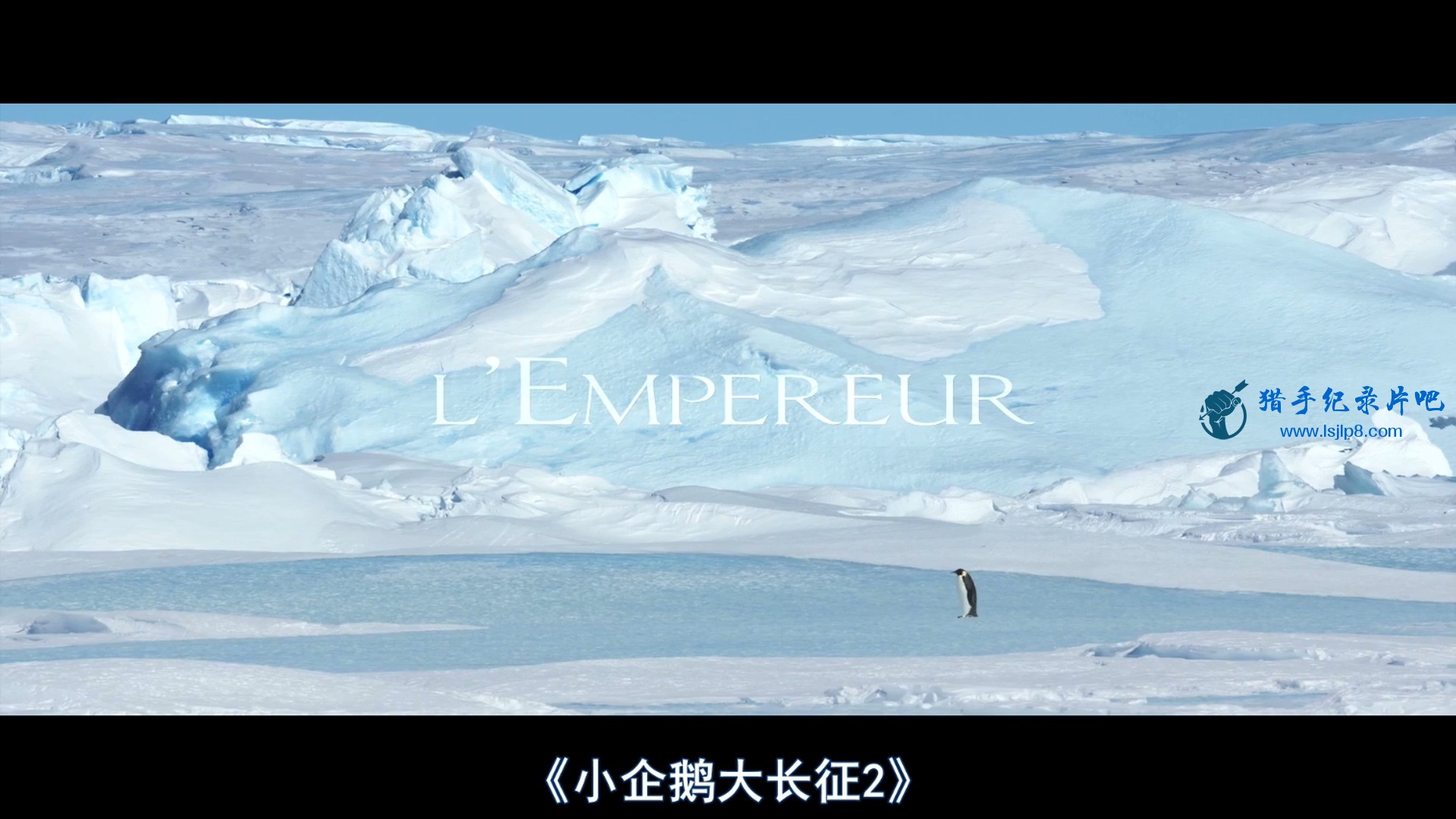 小企鹅大长征2.March.of.the.Penguins.2.The.Call.2017.1080p.BluRay.x264-中文字幕-M.jpg