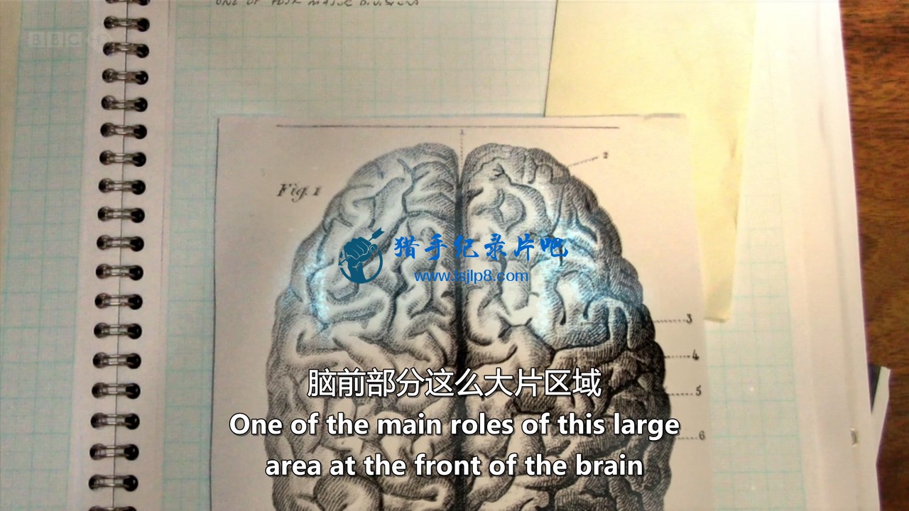 BBC.Horizon.2013.The.Creative.Brain.How.Insight.Works.720p.HDTV.x264.AAC.MVGroup.jpg