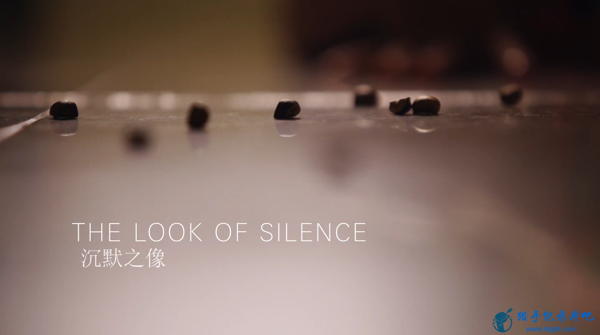 The.Look.Of.Silence.2014.1080p.BluRay.x264-[YTS.AM].mp4_20200702_100155.047.jpg