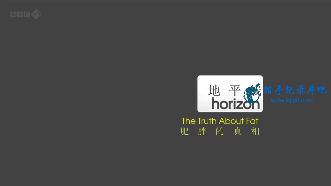 BBC.Horizon.2012.The.Truth.About.Fat.HDTV.x264.AAC.MVGroup.org.mkv_20200707_090336.867.jpg