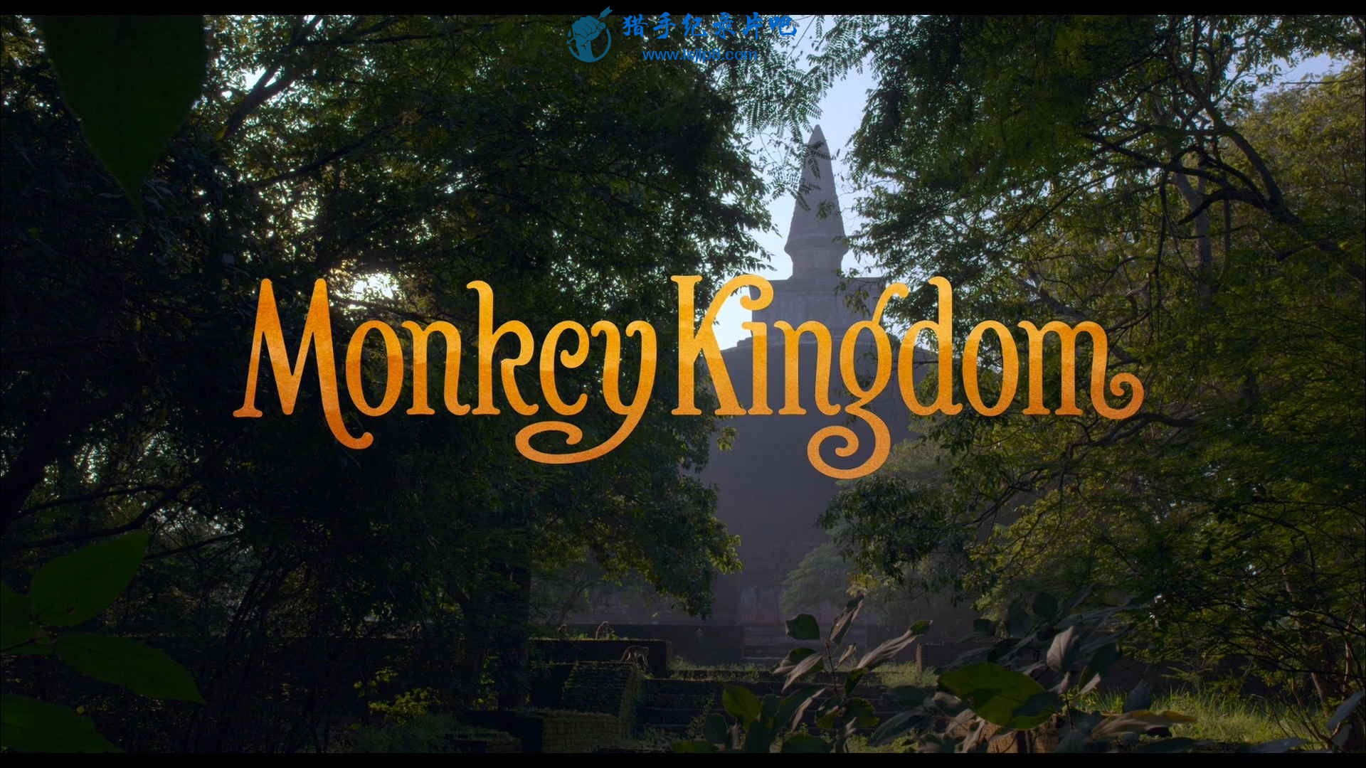 Monkey.Kingdom.2015.Bluray.1080p.DTS-HD.x264-Grym.mkv_20200709_081609.286_ͼ.jpg