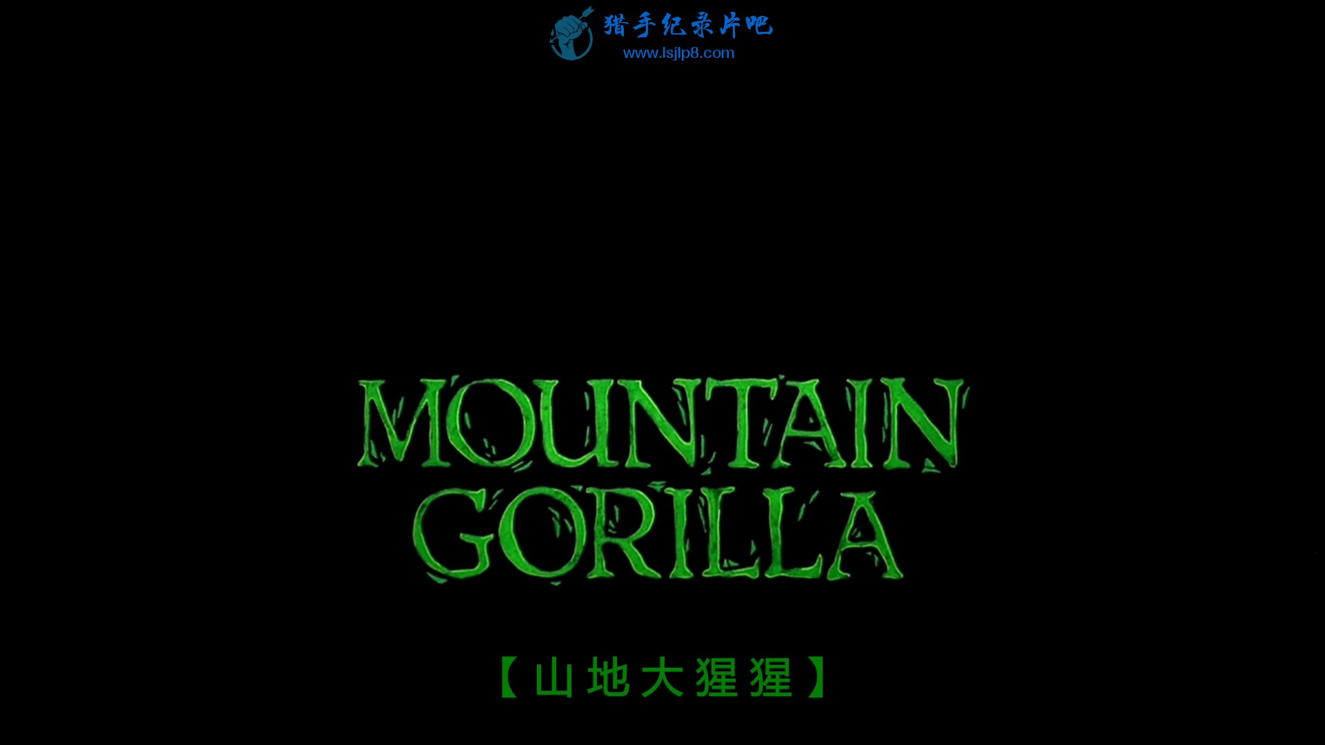 IMAX.Mountain.Gorilla.ɽش.HDTV.H264.1080P.DualAudio.F@Silu.disk1.ts_20200.jpg