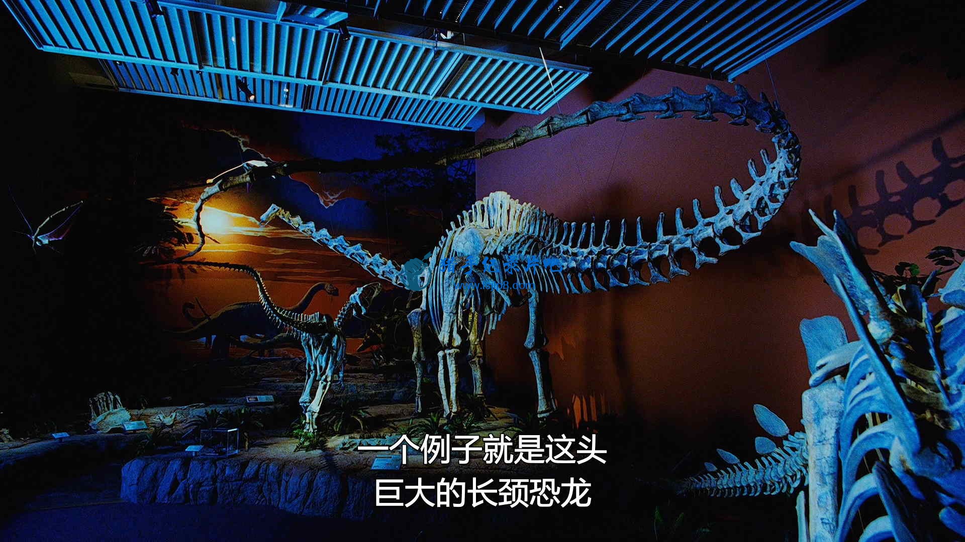 2009.11.05.IMAX.Dinosaurs.Alive.2007.Blu-ray.Re.1080p.x264.DTS-MySiLU.mkv_202007.jpg