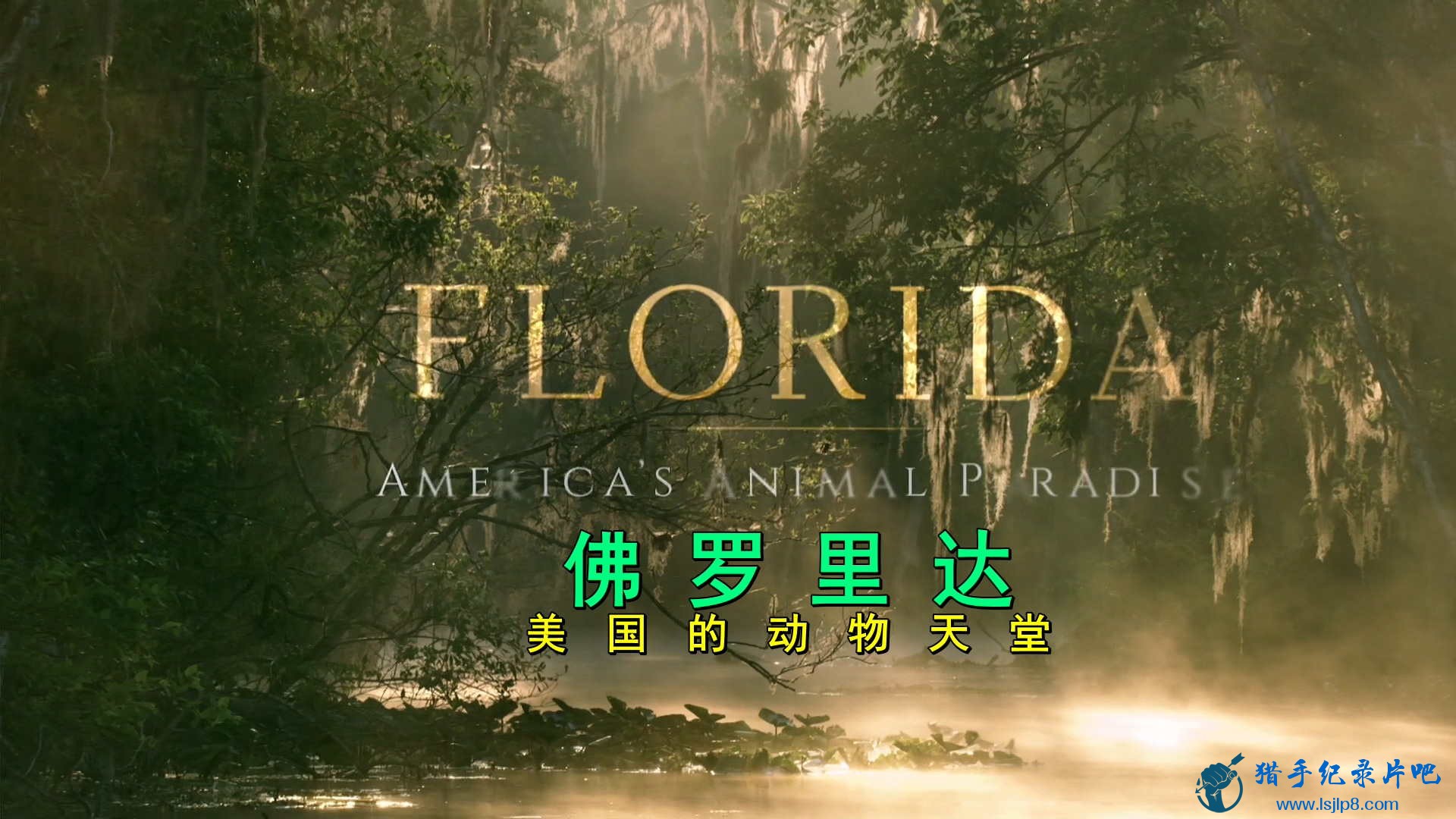 Florida.Americas.Animal.Paradise.2019.1080p.HDTV.h264-PLUTONiUM.mkv_20200810_094.jpg