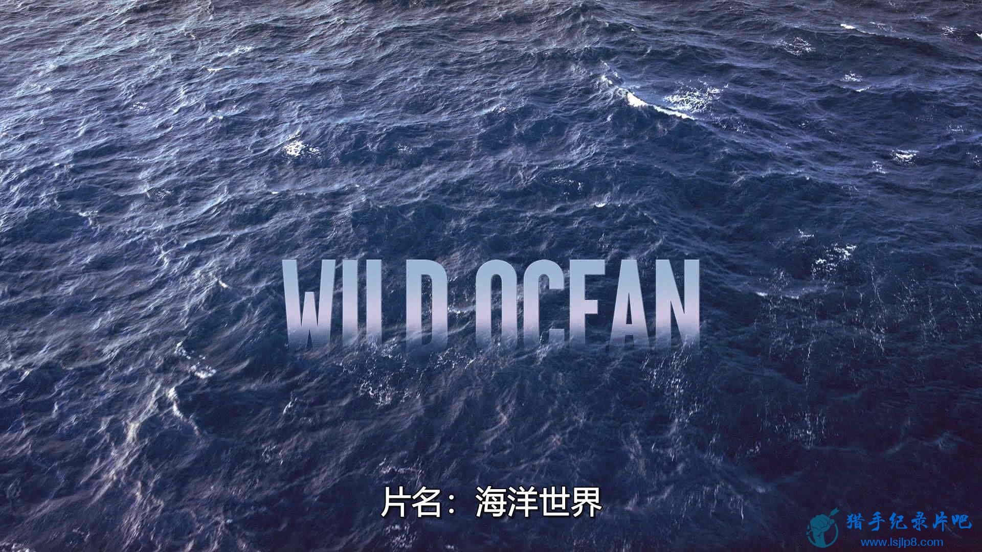 IMAX.Wild.Ocean.2008.BluRay.1080p.DTSMA.x264-CHD.mkv_20200810_102552.633_ͼ.jpg