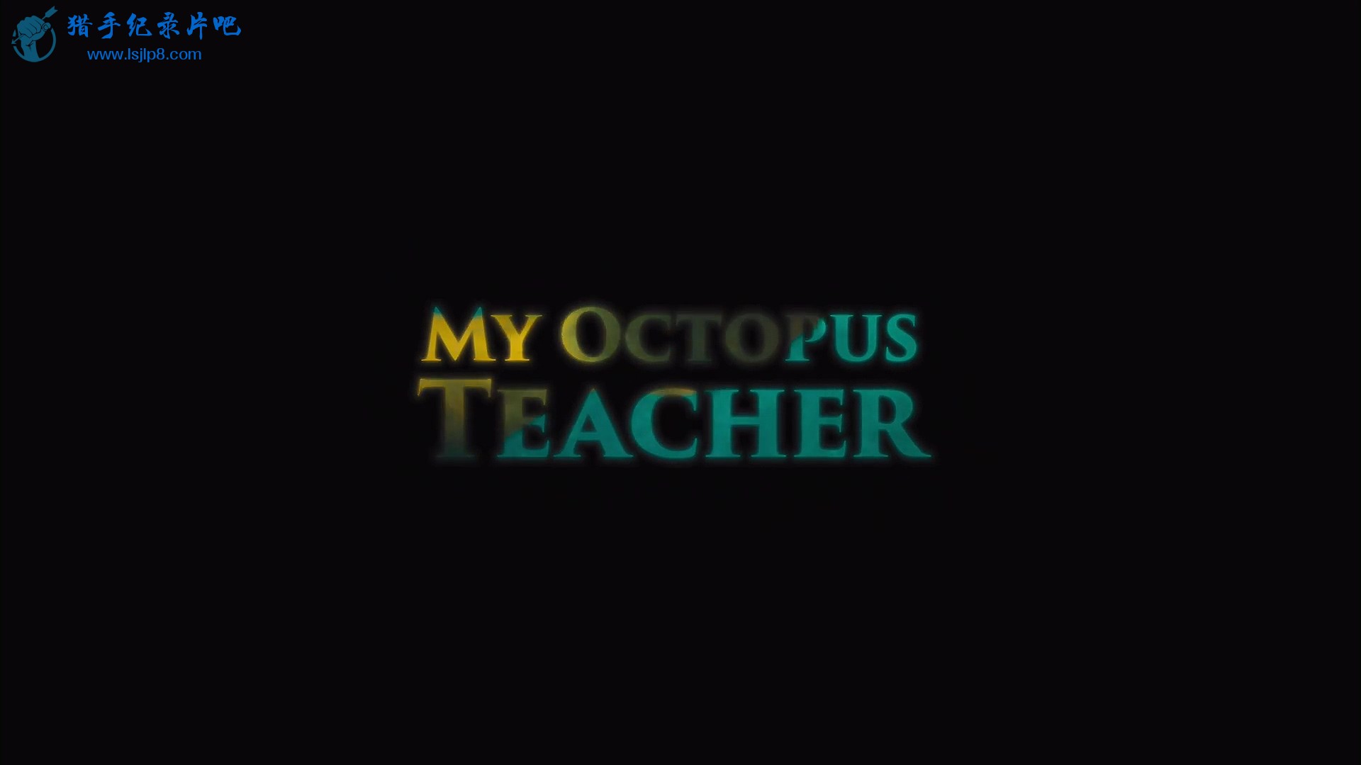 My.Octopus.Teacher.2020.1080p.NF.WEB-DL.DDP5.1.H.264-pawel2006.mkv_20200918_110003.575.jpg