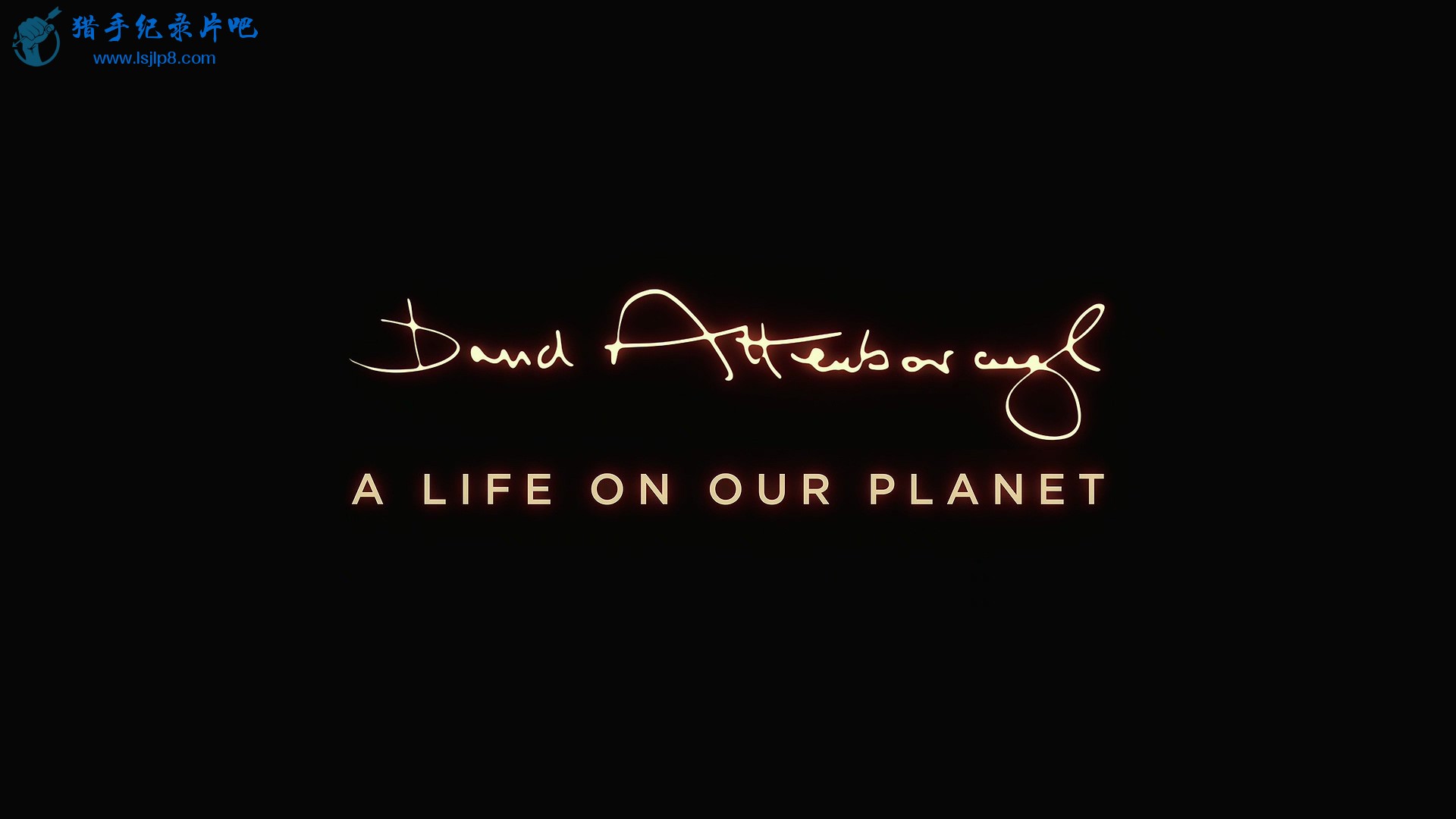 David.Attenborough.A.Life.on.Our.Planet.2020.1080p.NF.WEBRip.DDP5.1.x264-NTb.mkv.jpg