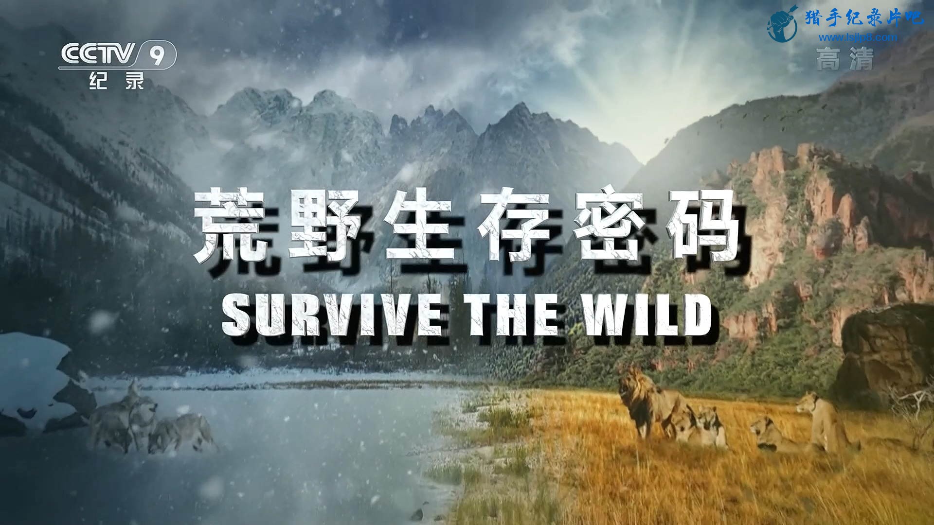 Ұ Survive the Wild.jpg