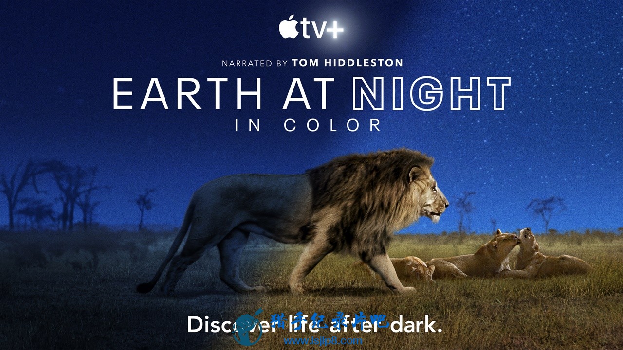 Earth at Night in Color.jpg