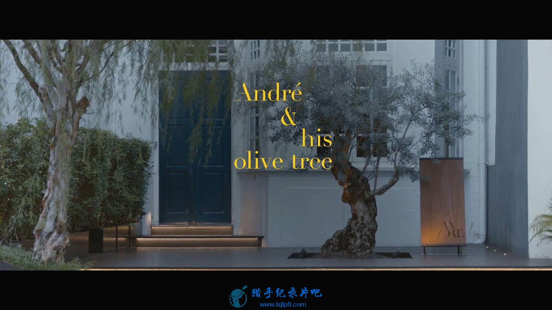 Andre and His Olive Tree.2020.HD1080P.X264.AAC.jpg