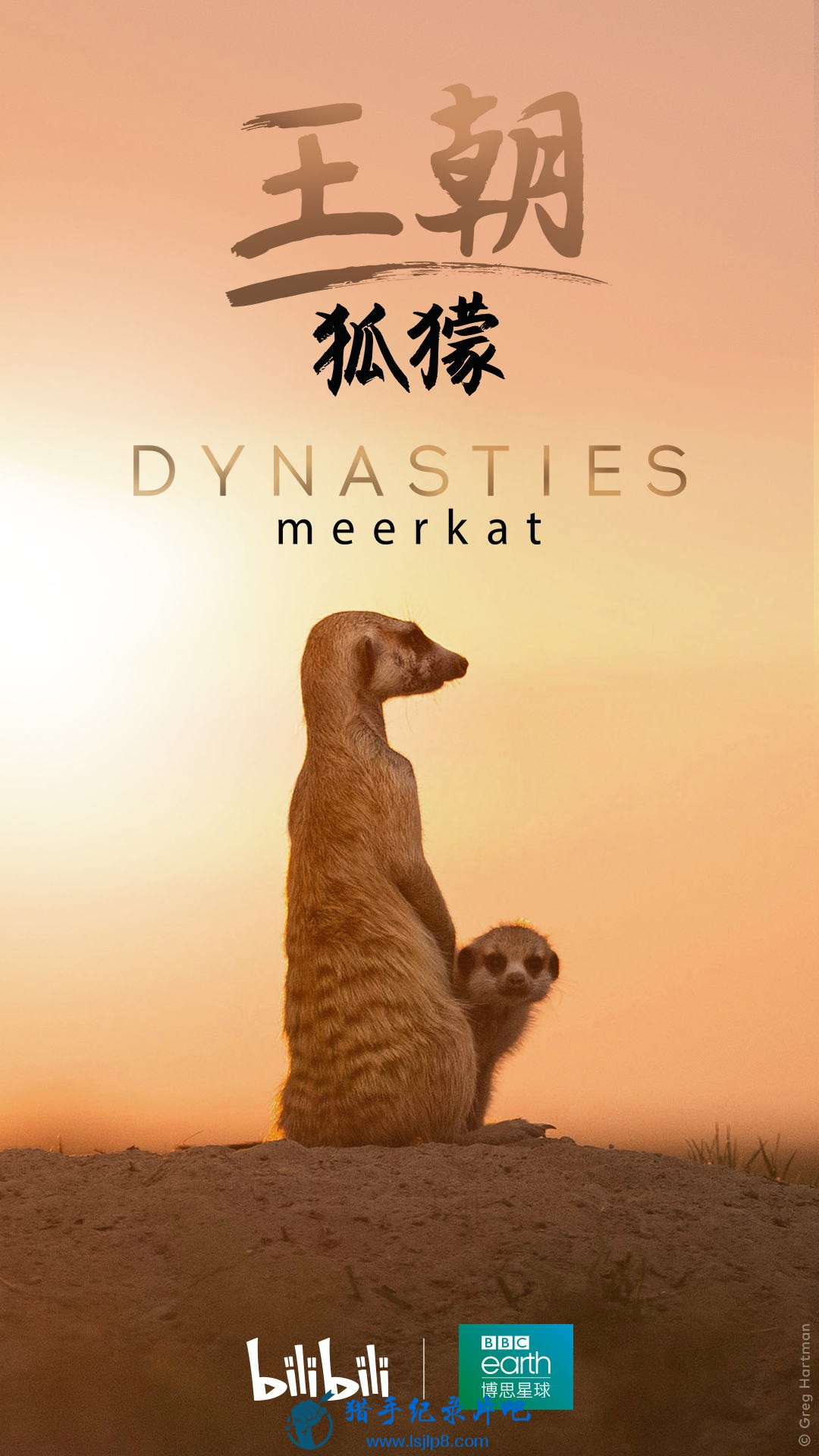 Dynasties Meerkat Special.jpg