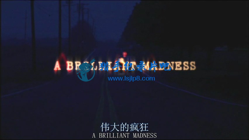 A.Brilliant.Madness.DVD.x264.AAC.MVGroup.Forum.mkv_20210629_103553.153.jpg