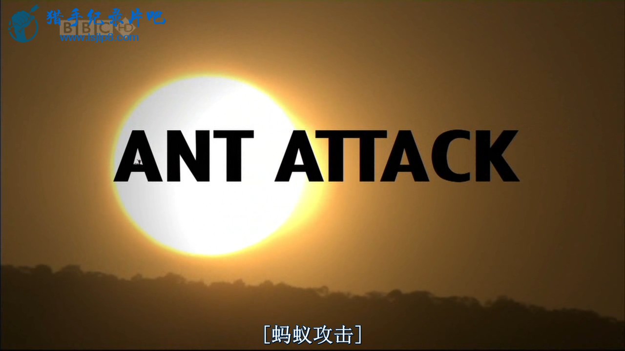 [VT TeamSub] BBC Natural World 2006- Ant Attack.XviD.HDTV 720p [cuongctcclh].avi.jpg