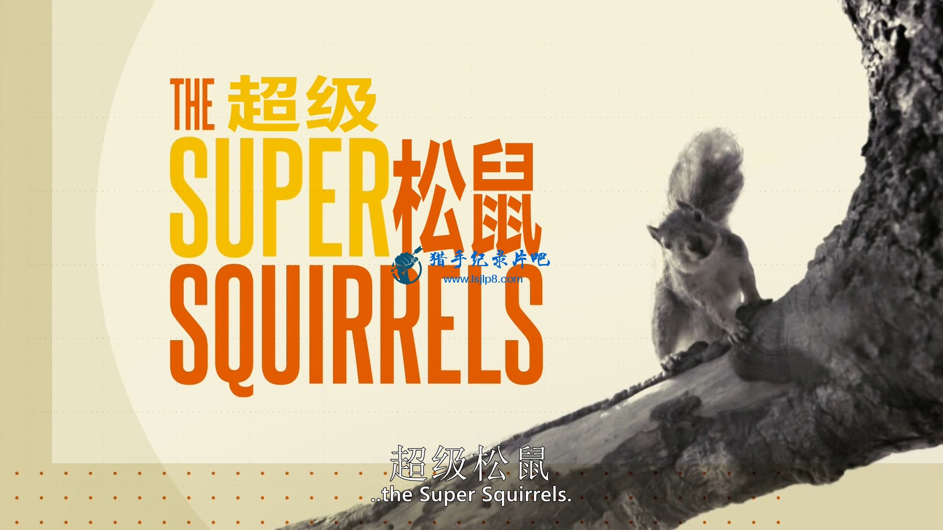 BBC.Natural.World.2018.The.Super.Squirrels.1080p.HDTV.x264.AAC.MVGroup.org.mkv_2.jpg