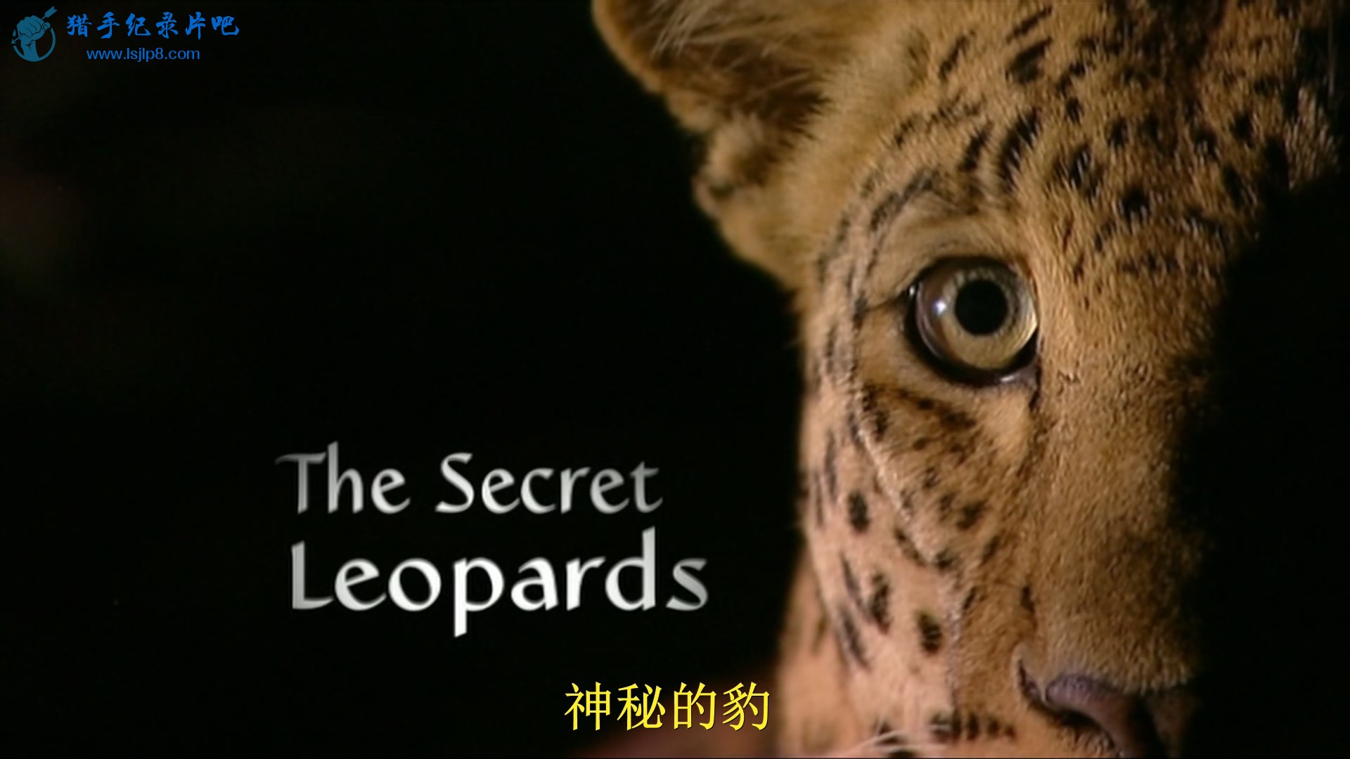 BBC.Natural.World.2010.The.Secret.Leopards.1080p.HDTV.x265.AAC.MVGroup.Forum.mp4.jpg