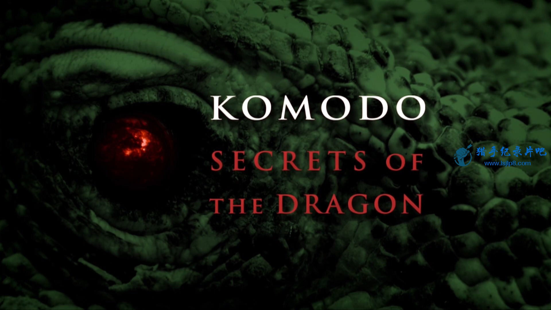 BBC.Natural.World.2011.Komodo.Secrets.of.the.Dragon.1080i.HDTV.h264.AC3.MVGroup.Forum.jpg
