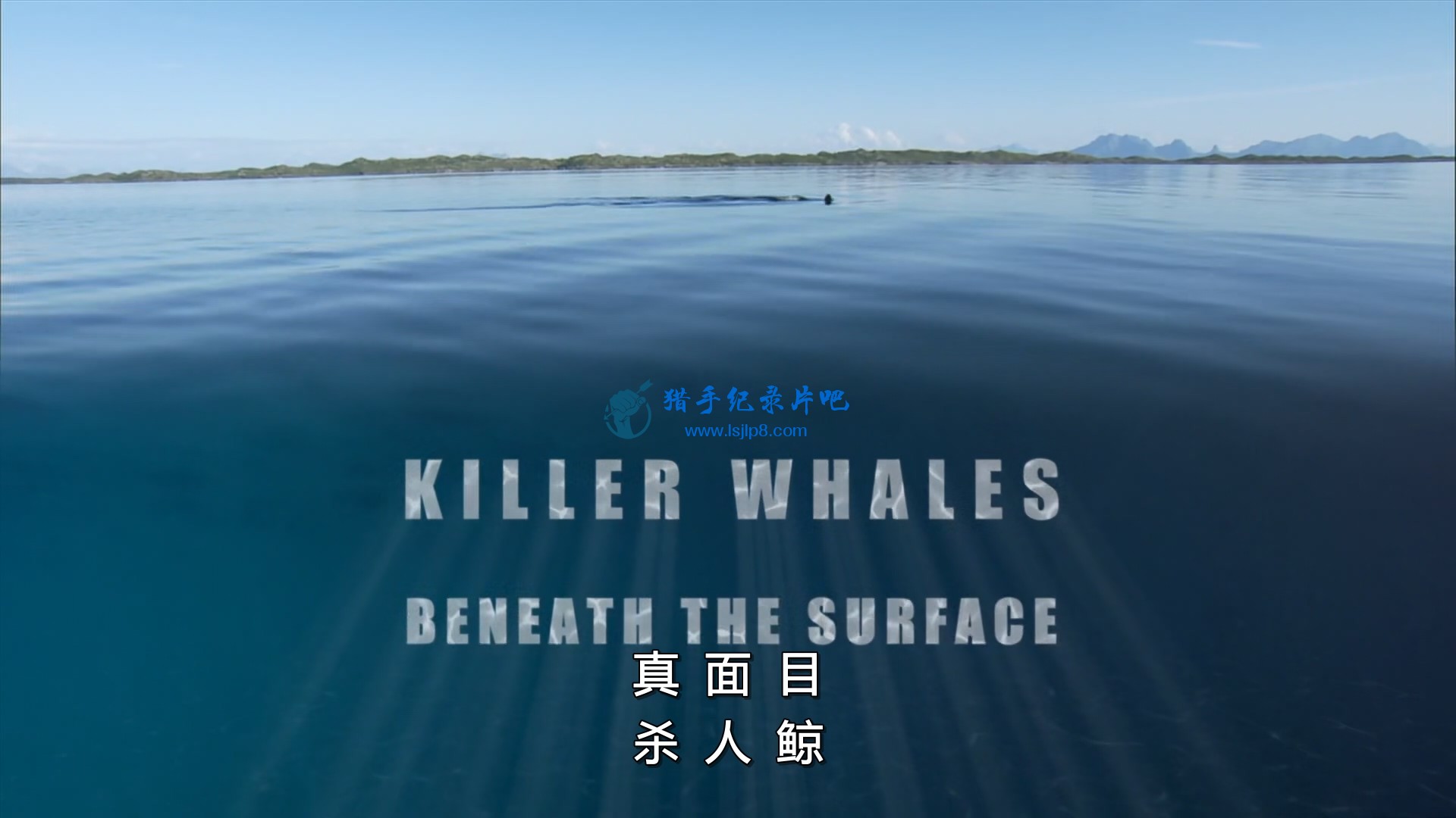BBC.Natural.World.2013.Killer.Whales.Beneath.the.Surface.1080p.HDTV.x265.AAC.MVG.jpg