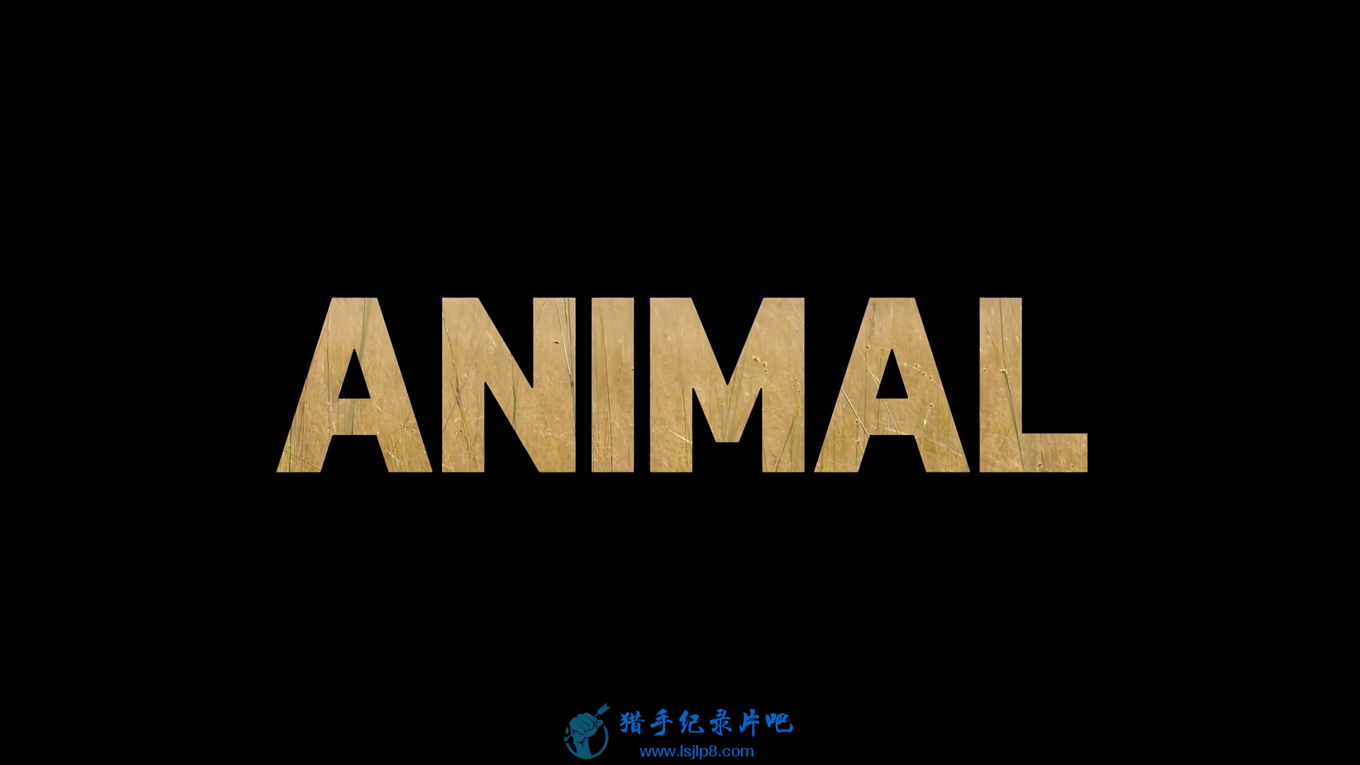 Animal.2021.S01E01.1080p.WEB.h264-GOSSIP.mkv_20211111_164939.098.jpg