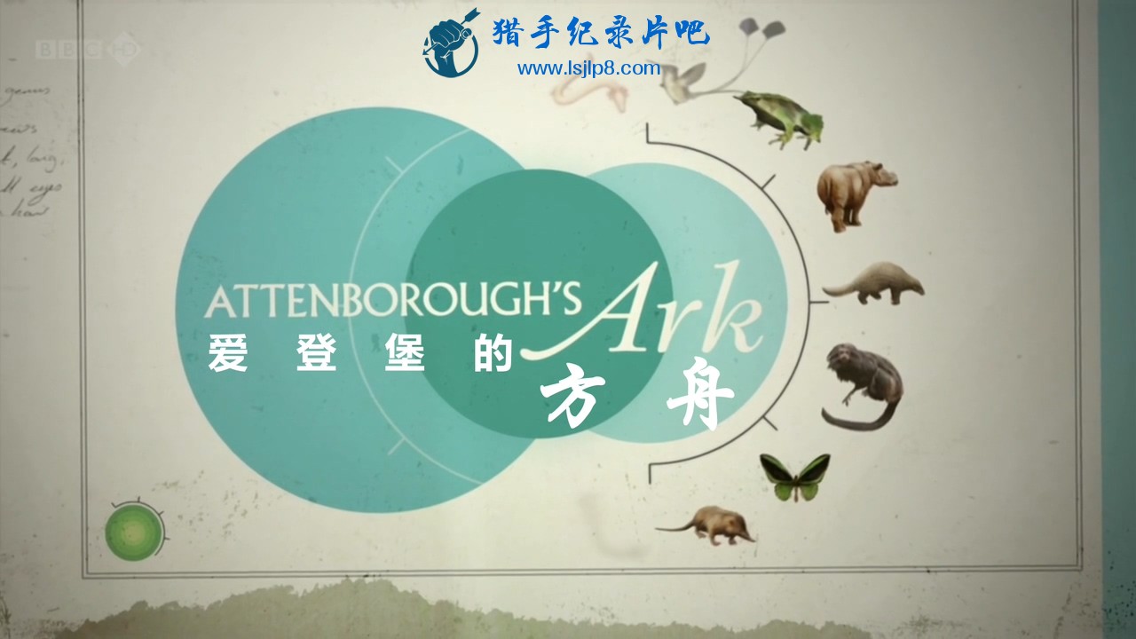 BBC.Natural.World.2012.Attenboroughs.Ark.720p.HDTV.x264.AAC.MVGroup.org.mkv_2021.jpg