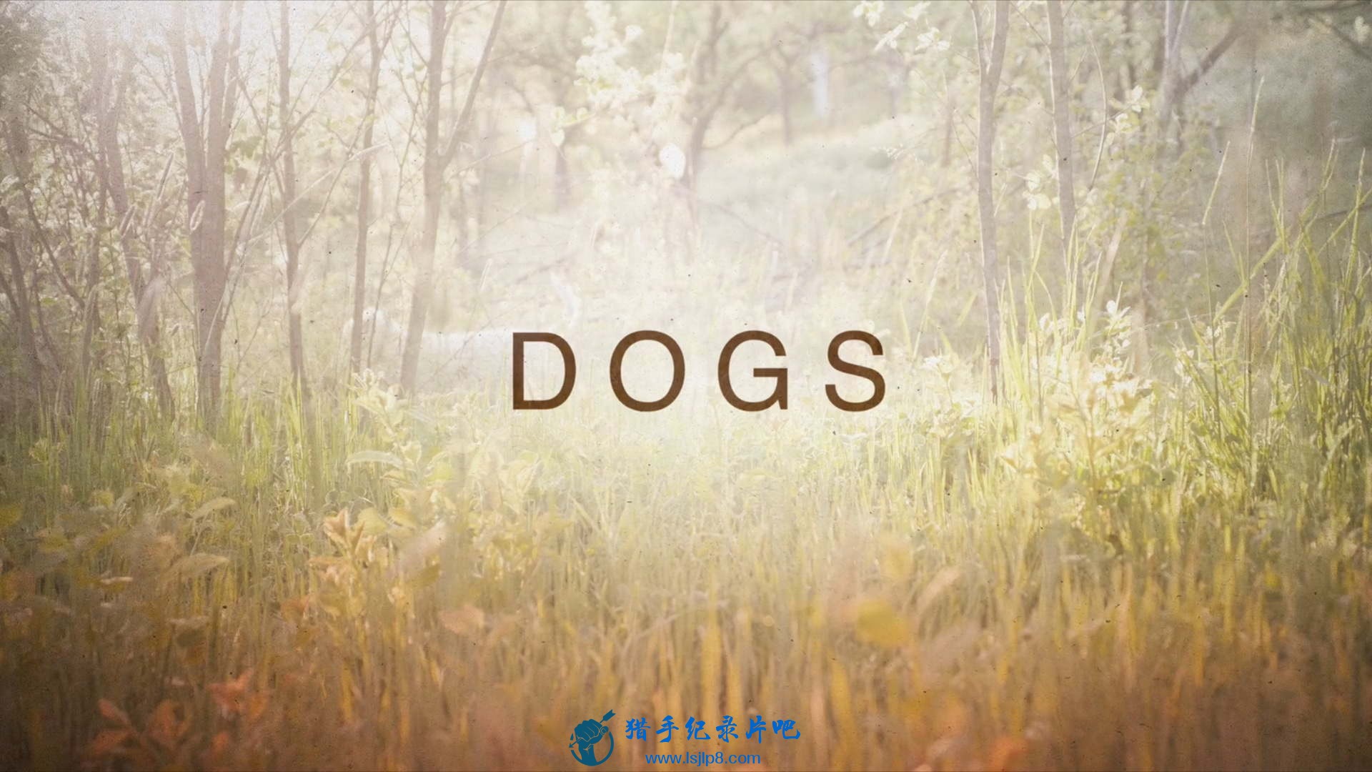 Dogs.S02E01.Much.Ado.About.Blue.1080p.jpg