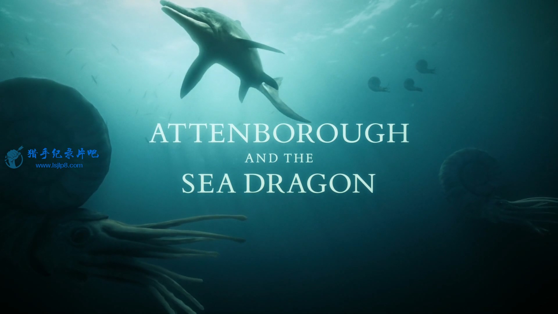 BBC.Attenborough.and.the.Sea.Dragon.1080p.HDTV.x264.AAC.MVGroup.org.mkv_20211114.jpg