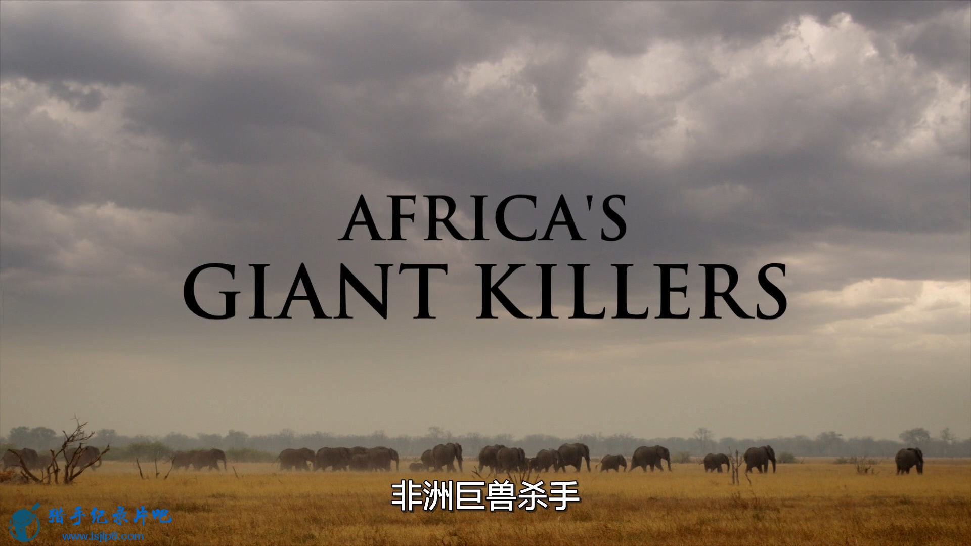 Natural.World.S34E01.Africas.Giant.Killers.1080i.HDTV.H264.DD2.0-CtrlHD.jpg
