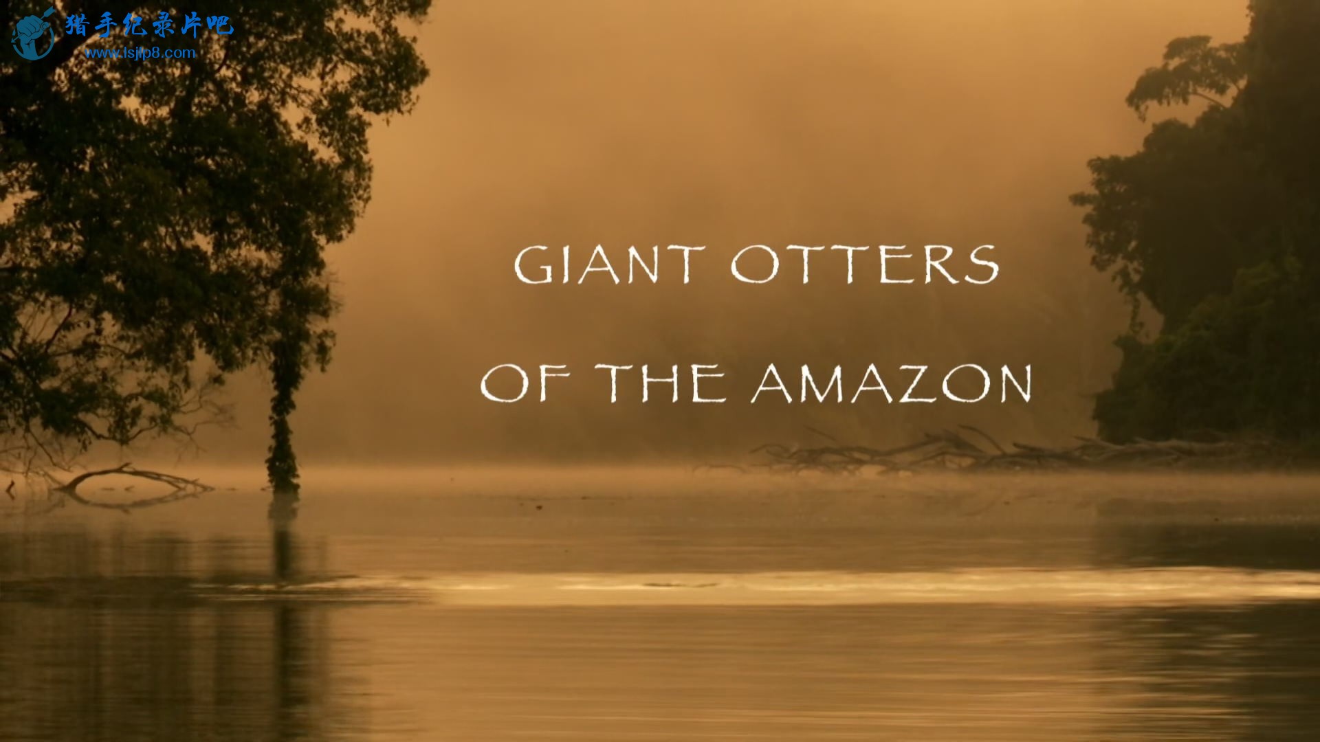 BBC.Natural.World.2013.Giant.Otters.of.the.Amazon.1080p.HDTV.x265.AAC.MVGroup.org.jpg