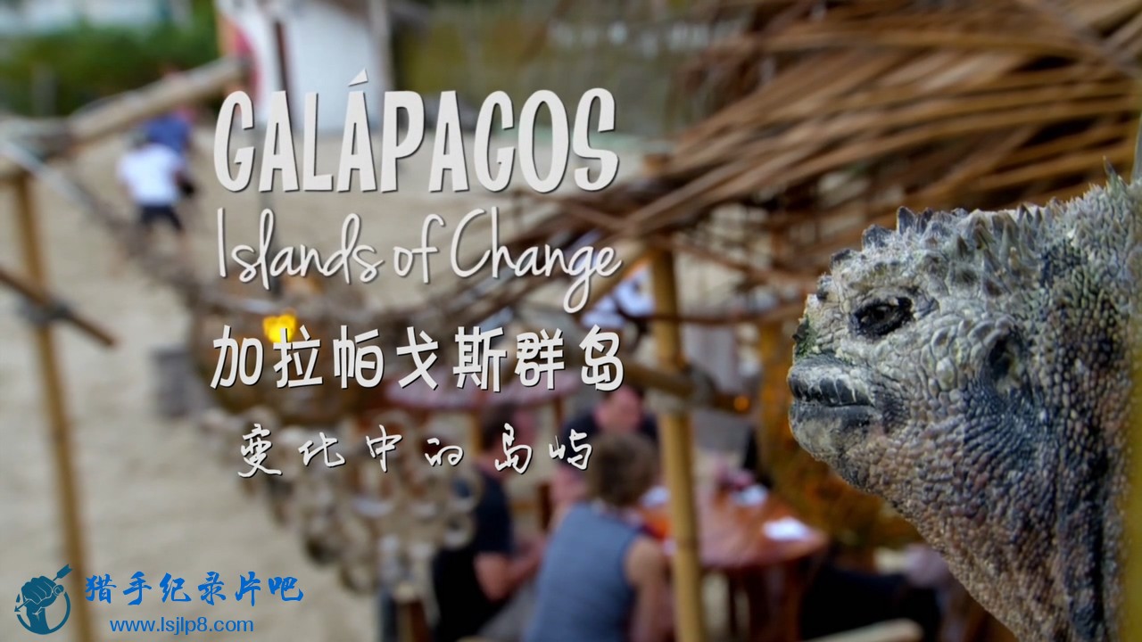 BBC.Natural.World.2015.Galapagos.Islands.of.Change.720p.HDTV.x264.AAC.MVGroup.or.jpg