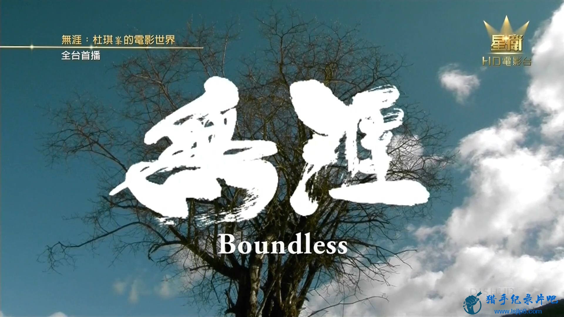 《无涯：杜琪峰的电影世界》Boundless.2013.jpg