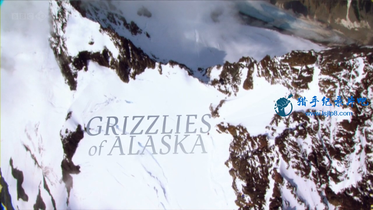 BBC.Natural.World.2012.Grizzlies.of.Alaska.HDTV.x264.AAC.MVGroup.org.mkv_2021120.jpg